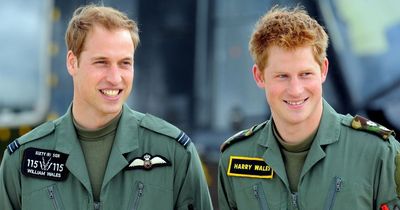 Forgotten Prince Harry and Prince William interview shows pair's 'worrying' banter