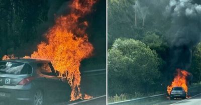 Road cleared, traffic eases after car bursts into flames on M1 Princes Motorway