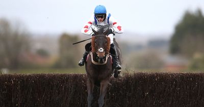 Sir Alex Ferguson's top chaser Clan Des Obeaux has been retired due to recurring injury issue
