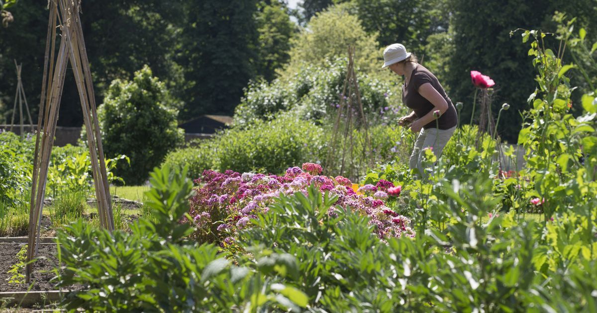 North East beauty spot named by National Trust as one…