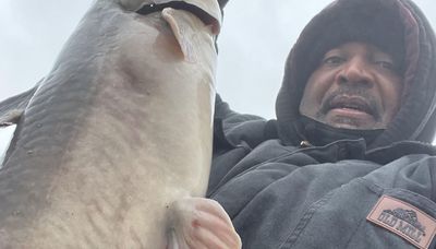 Big blue catfish are back at LaSalle Lake