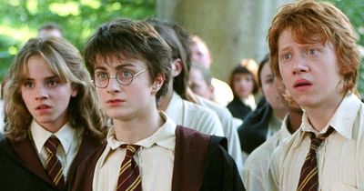 New Harry Potter TV series will launch - but fans are already unhappy