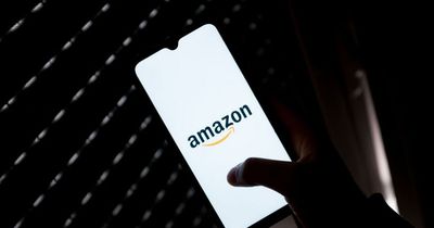 Amazon issues scam warning to customers after removing thousands of phishing websites