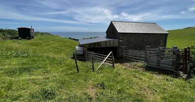 Shepherd's hut and barn close to UK's most expensive seaside town on sale for £475k