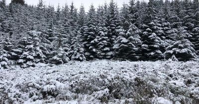 Snow back in Met Eireann forecast for this week before dramatic change