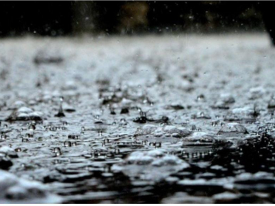 Optical illusion: Only a genius can find the frog in this picture in under 7 seconds