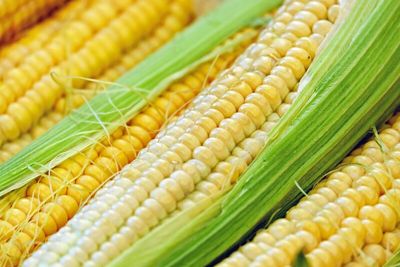 Will Corn and Soybean Prices Continue to Slide?