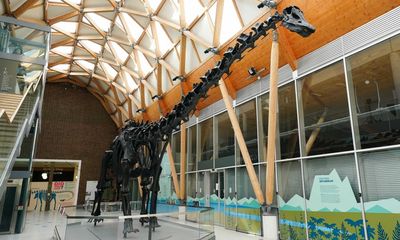 Two Just Stop Oil activists arrested at Dippy the Diplodocus exhibit in Coventry
