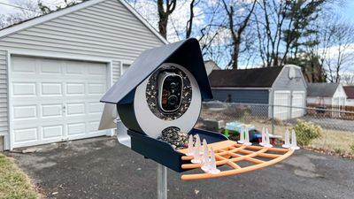 BirdKiss smart bird feeder review