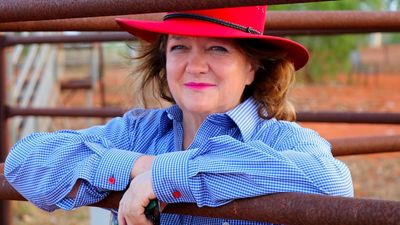 Gina Rinehart sells four more S. Kidman & Co. cattle stations in Queensland, NT
