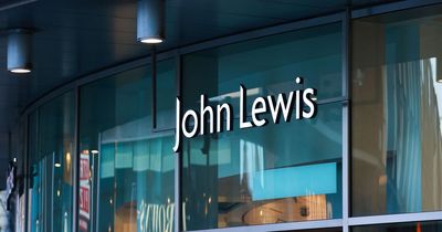 John Lewis shoppers 'very impressed' with £33 'bargain summer dress'