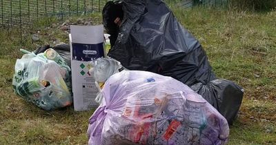 Revellers clear up mess after 1,000 strong illegal rave that left four in hospital