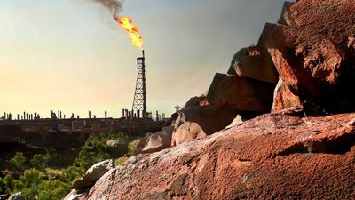 Probe to find 'definitive answer' on emissions damage to rock art at Murujuga gas, fertiliser plants