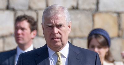Prince Andrew took ironing board on trade mission visit, says ex-diplomat