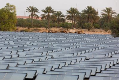 Middle East cleans up its act with renewable push