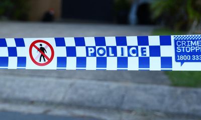 Six-year-old girl in serious condition following dog attack south of Brisbane