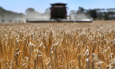 Australia strikes deal with China over barley trade dispute