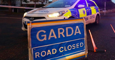 Teen girl rushed to Beaumont Hospital after two friends die in Galway tree collision