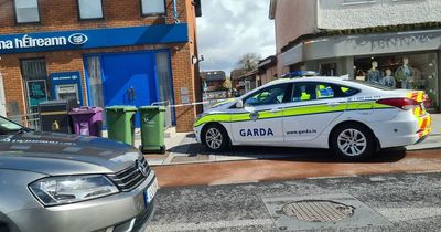 Woman, 50s, in serious condition after alleged hit and run in Meath