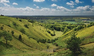 Foraging, art and history in the Kent Downs