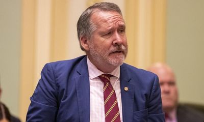 Queensland parliament asked to investigate MP over alleged purchase of $125 artwork for girlfriend