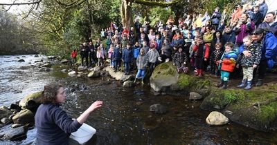 Water great day as kids watch their their fish released to new life in River Almond