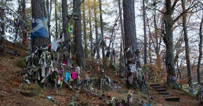 The Scottish forest where trees are draped in rags in an ancient pagan tradition