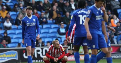 Cardiff City turned in their worst performance under Sabri Lamouchi against Sunderland and it was alarming
