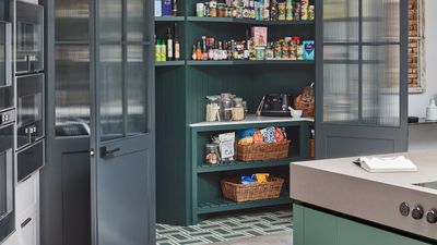 What color should a pantry be? 8 ideas that'll give your kitchen storage some unexpected wow-factor