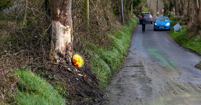 Galway crash: 'Treasured' teenagers die and others injured after car smashes into tree