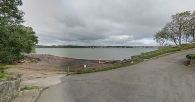 Pet killed and owner sustains 'significant injuries' in Welsh beach dog attack