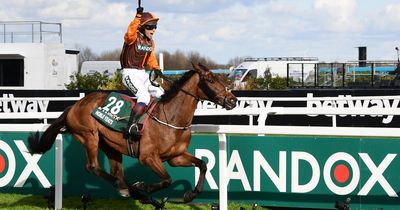 Grand National quiz: Can you spot a real horse's name from a fake?