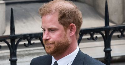 Copies of Prince Harry's memoir to be sold smeared in blood after killing admission