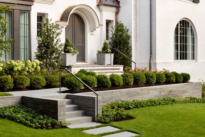 Best trees for front yards – these are landscape designers' 8 top picks for effortless curb appeal