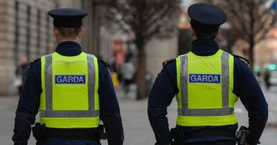 Gardai appeal for witnesses after woman seriously injured following Ashbourne crash