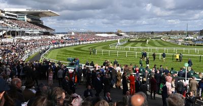 Grand National 2023: 'Animal Rising' plead for people to join protest amid plan to sabotage race