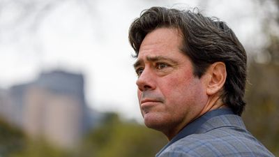 AFL chief executive Gillon McLachlan condemns racial vilification of players as Fremantle Dockers, Brisbane Lions call out abuse