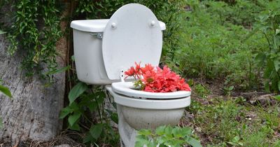 'My snobby neighbours complained about my 'messy' yard so I decorated it with toilets'