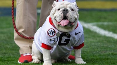 Georgia’s Mascot, Uga X, Will Retire With Impressive Honor