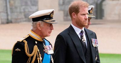 Prince Harry 'swore at King Charles' in argument over money, new book claims
