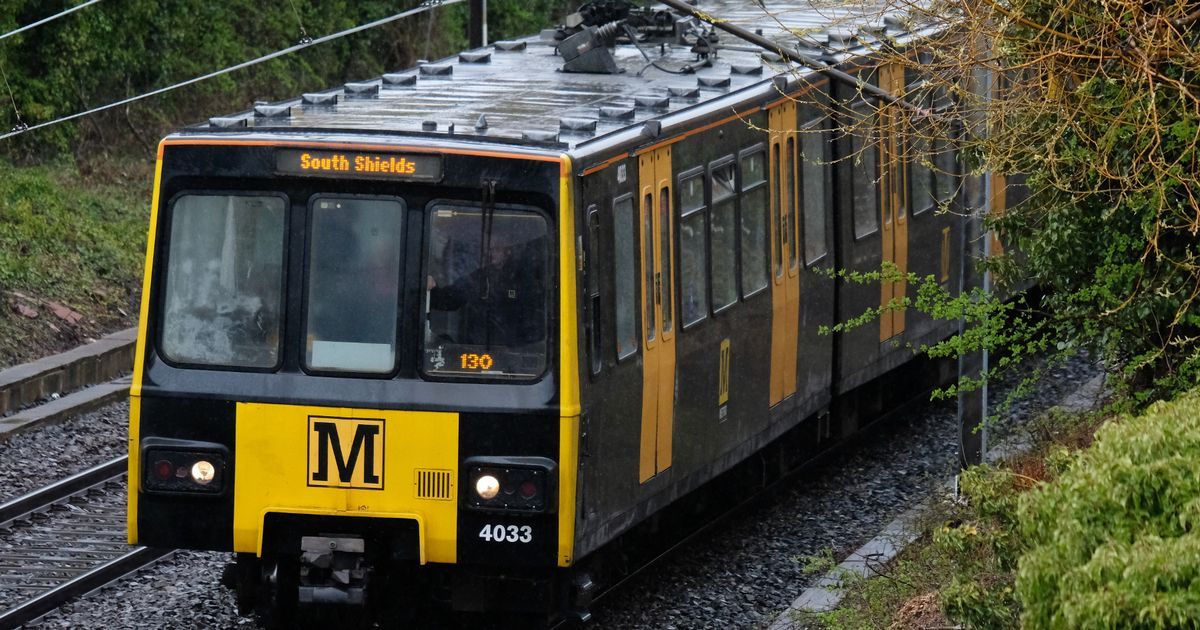 Quick-thinking Metro driver saves woman who jumped in…