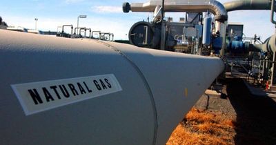 Power grid instability adding pressure to build Hunter gas projects