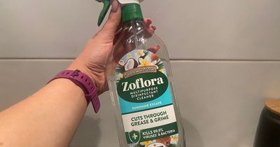 I tried the new £1.99 Zoflora 'Sunshine Escape' cleaning spray and my kitchen smelt 'unreal'