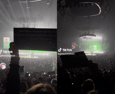 Concert guest sparks outrage after blocking view of stage with sign