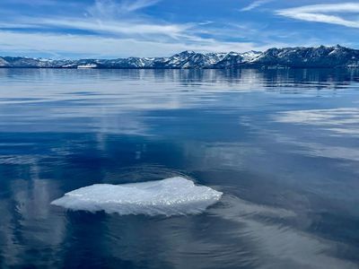 Lake Tahoe’s best clarity in 40 years is the work of this ‘natural cleanup crew’