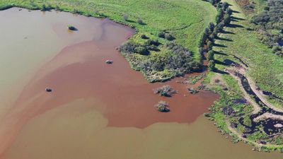Only 2% of New Zealand’s large lakes are in good health, bleak report finds