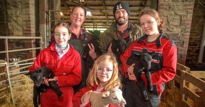 'One in a million' quintuplet lambs born at family farm - with midnight and 4am feeds