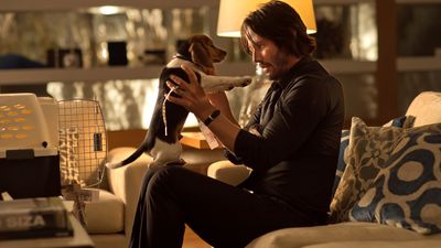 John Wick's Best In Show: A Loving Tribute To The Franchise's Scene-Stealing Dogs