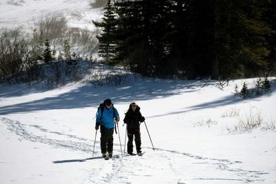 Colorado snow survey scoops up evidence for 'wet year' in US West