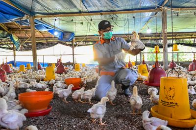 China reports first human death due to H3N8 bird flu